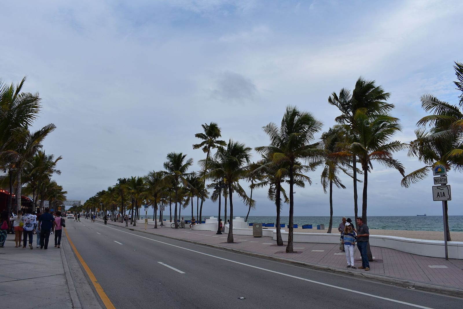 Palm trees along Las Olas Beach on the oceanfront in Fort Lauderdale, Florida